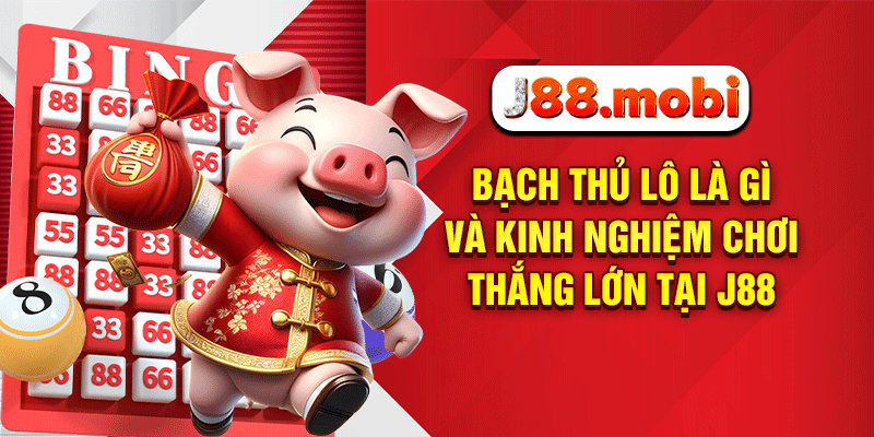 Bạch thủ lô là gì